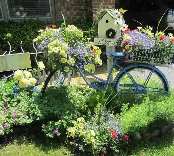 When abandoned furniture is made into a garden