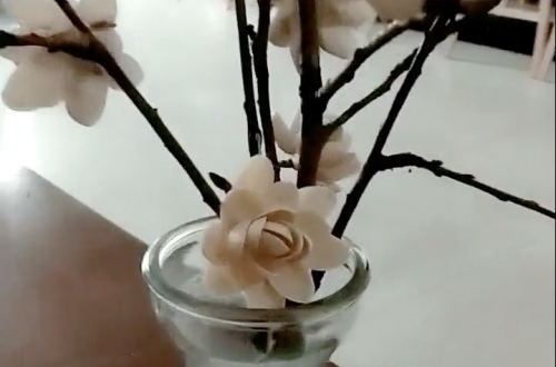 DIY Tree using Pistachio shells