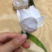 Make a rose with a piece of paper