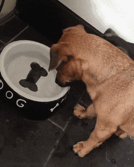 Goofy Gifs To Make You Grin (#2)