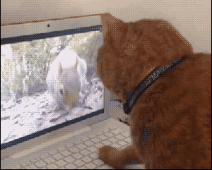 Goofy Gifs To Make You Grin (#2)