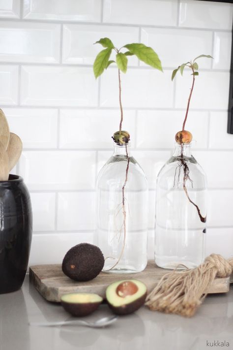25 DIY Test Tube Vase Crafts Ideas