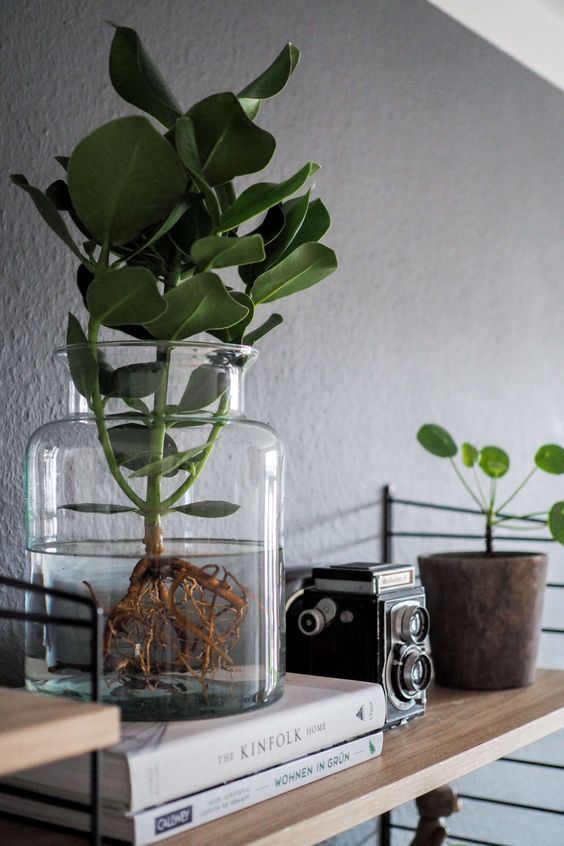 25 DIY Test Tube Vase Crafts Ideas