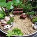 Micro-landscape DIY | The world is big, this small world can create your ideal kingdom