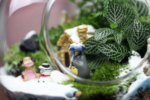 Micro-landscape DIY | The world is big, this small world can create your ideal kingdom