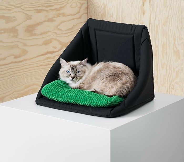 Creative Dog and Cat Bed Ideas We Love | #cat #dog #ideas #Creative