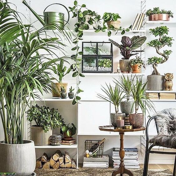 60+ Plant Stand Design Ideas for Indoor Houseplants - Page 41 of 67 ...